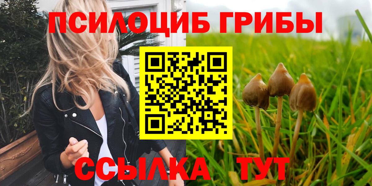 Галлюциногенные грибы Psilocybe Учалы