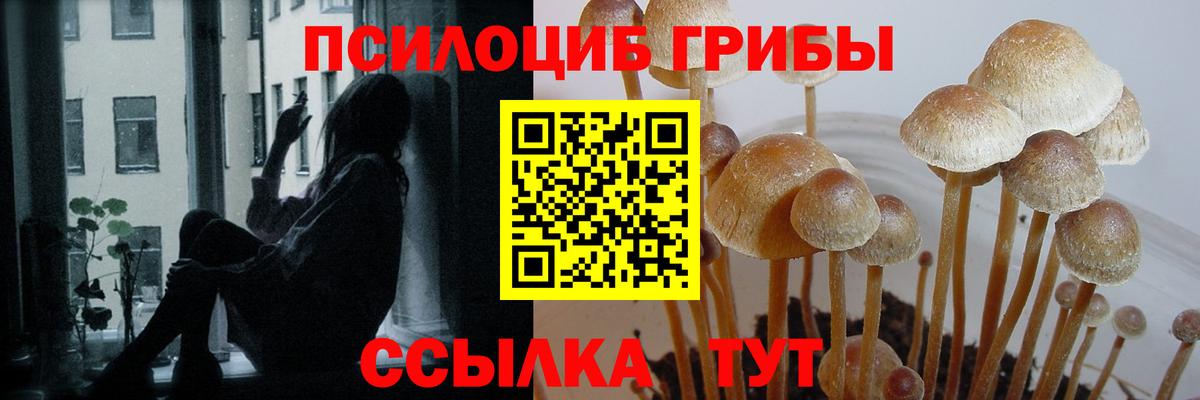 Учалы  магазин продажи   Вход с VPN  Галлюциногенные грибы прущие грибы 